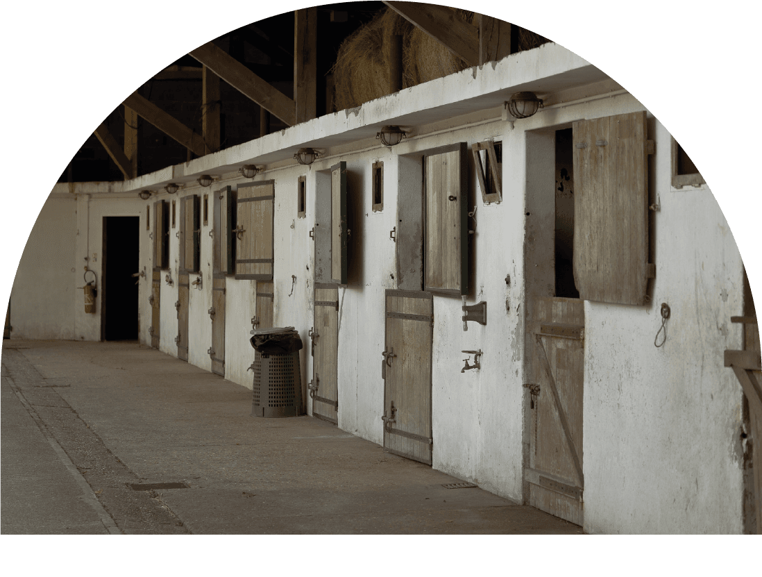 What We Do background